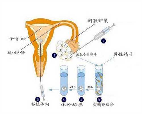 杭州试管婴儿医院选择指南：省妇保与邵逸夫成功率对比分析