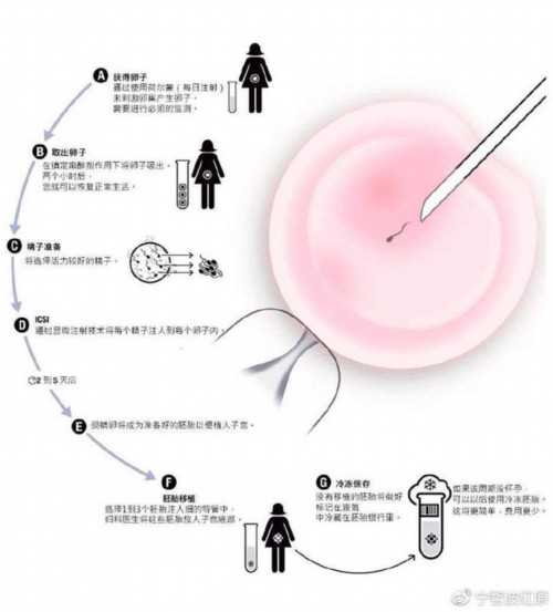 杭州助孕机构数量探秘_高龄生子助孕成本与流程全解析