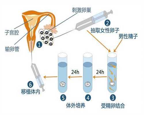 杭州地区高成功率第三代试管婴儿推荐：专业团队与先进设备